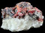 Realgar, Orpiment and Calcite Association - China #46168-1